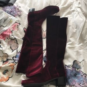 Stuart Weitzman fifo boot: Wine/burgundy velvet